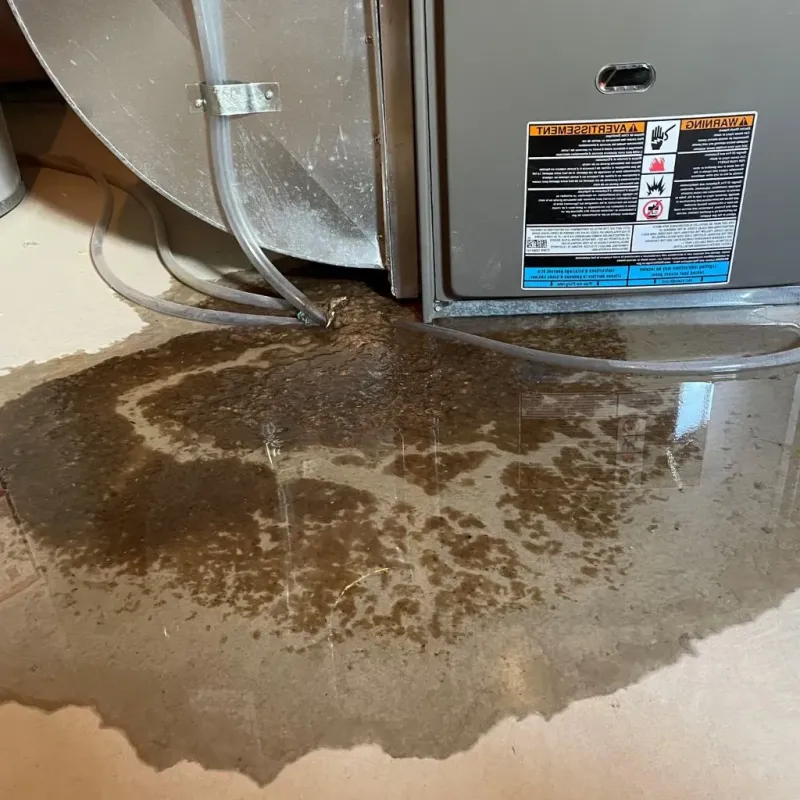 Pipe Burst and Leak Restoration in Comunas, PR