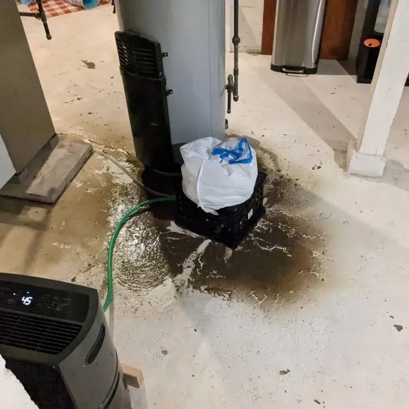 Sewage Backup Cleanup Service in Comunas, PR
